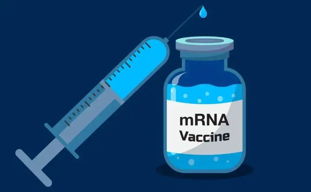SCICONS | mRNA疫苗生产中双链RNA (dsRNA)残留检测方案