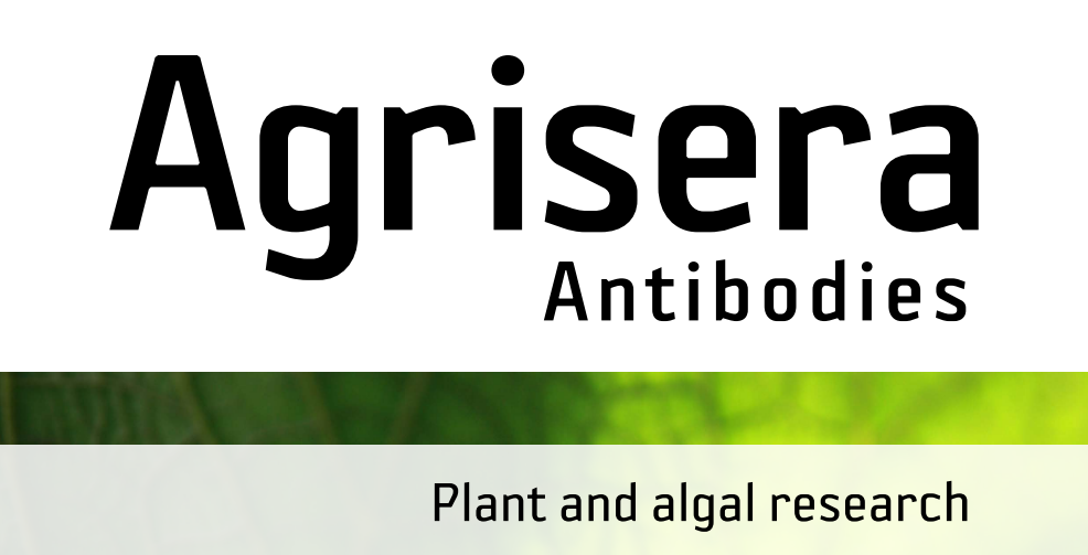 Agrisera MicroRNA相关研究植物蛋白抗体火热促销中！